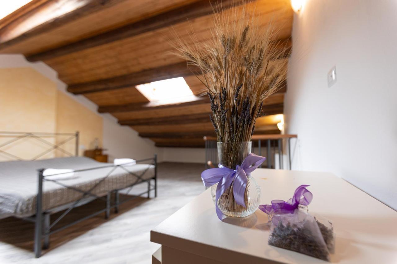 Fauglia Agriturismo La Valle Della Lavanda - Podere Mezzastrada מראה חיצוני תמונה