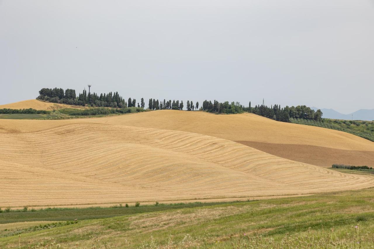Fauglia Agriturismo La Valle Della Lavanda - Podere Mezzastrada מראה חיצוני תמונה