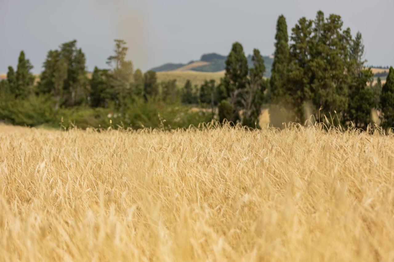 Fauglia Agriturismo La Valle Della Lavanda - Podere Mezzastrada מראה חיצוני תמונה