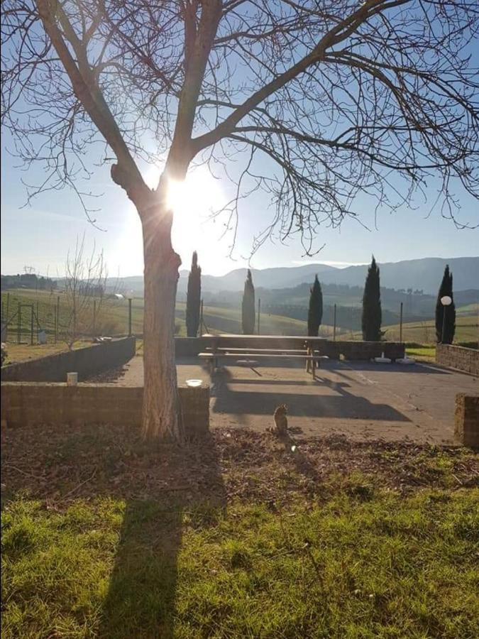 Fauglia Agriturismo La Valle Della Lavanda - Podere Mezzastrada מראה חיצוני תמונה