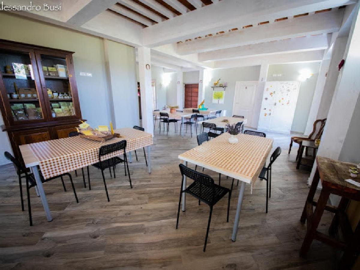 Fauglia Agriturismo La Valle Della Lavanda - Podere Mezzastrada מראה חיצוני תמונה
