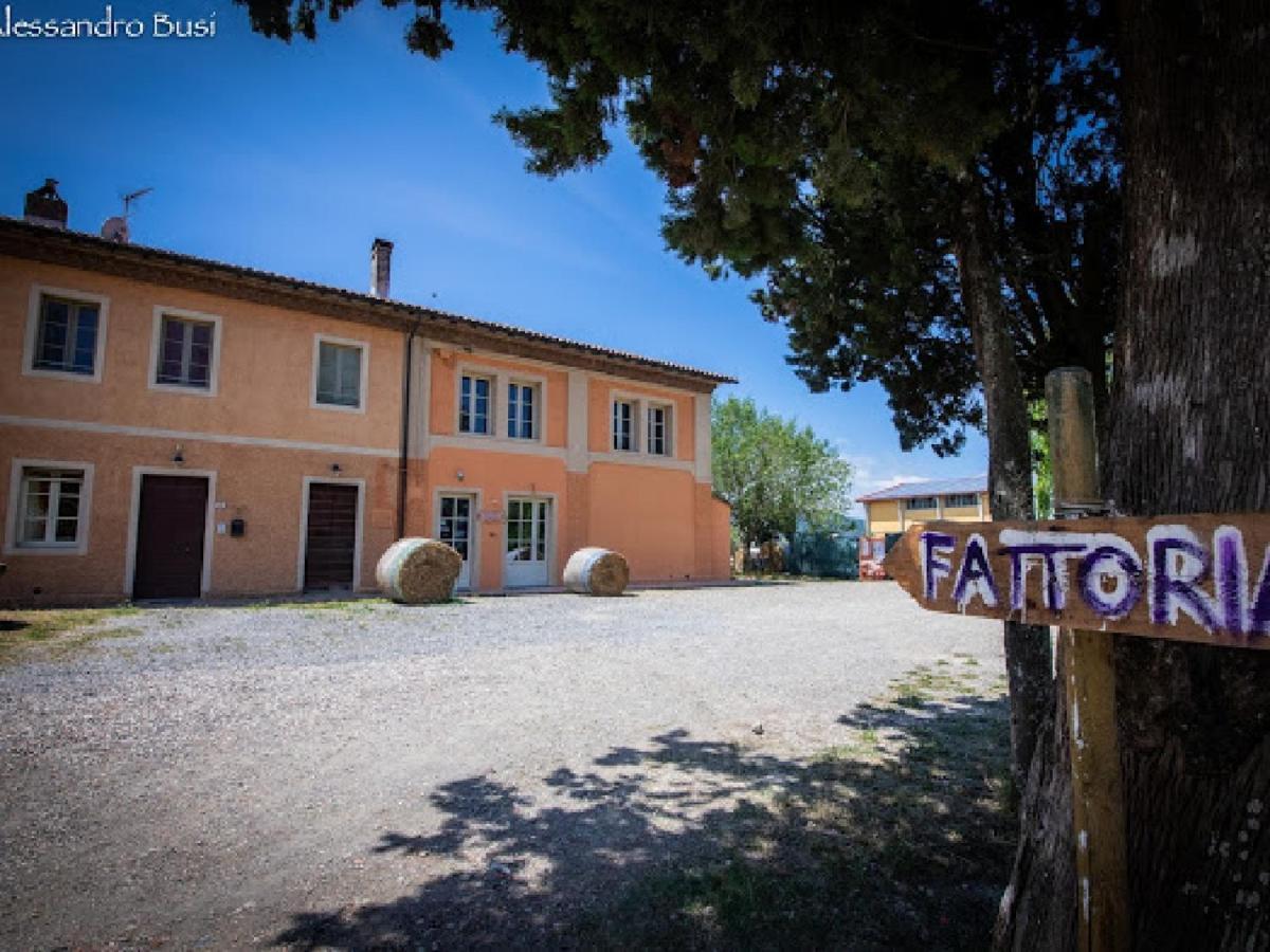 Fauglia Agriturismo La Valle Della Lavanda - Podere Mezzastrada מראה חיצוני תמונה