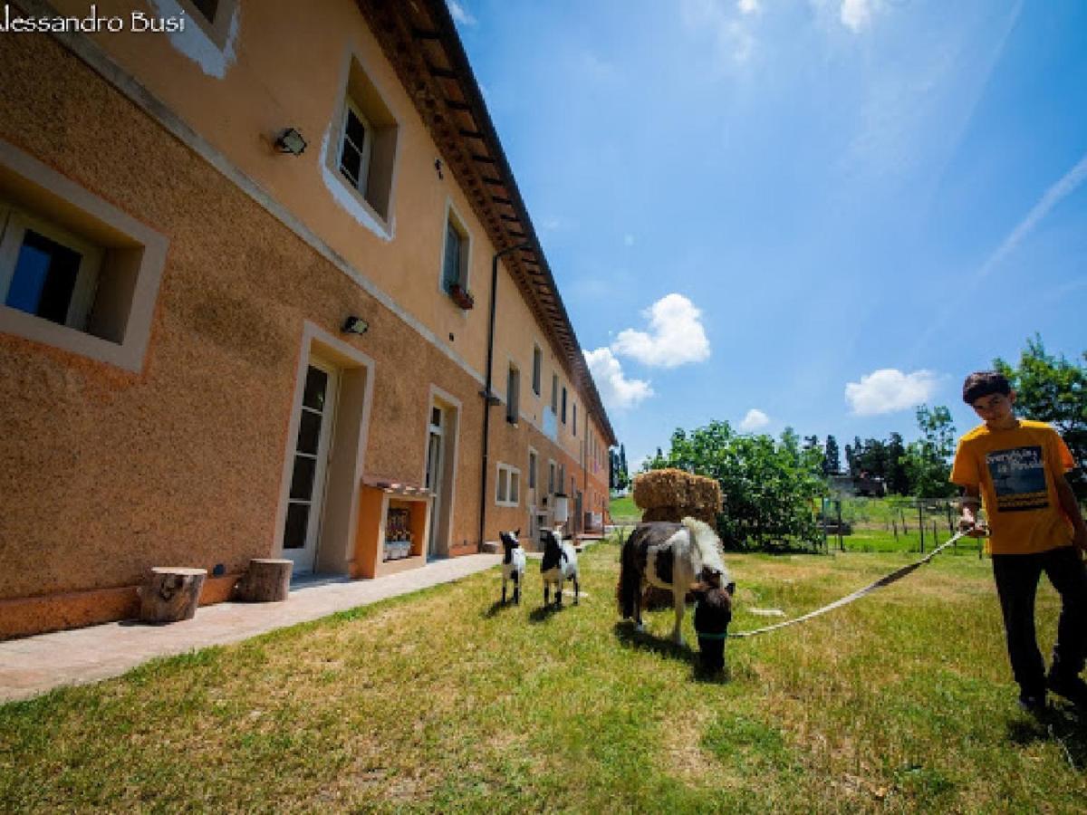 Fauglia Agriturismo La Valle Della Lavanda - Podere Mezzastrada מראה חיצוני תמונה